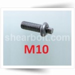 M10 IP Shear Bolts Button A2