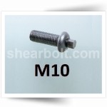 M10 IP Shear Bolts Button Head HDG