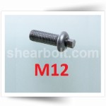 M12 IP Shear Bolts Button A2