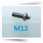 M12 IP Shear Bolts Button BZP