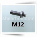 M12 IP Shear Bolts Button Head HDG