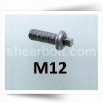 M12 IP Shear Bolts Button Head HDG