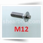 M12 IP Shear Bolts Csk A2