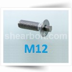 M12 IP Shear Bolts Csk BZP