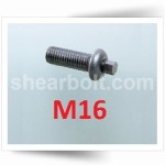 M16 IP Shear Bolts Button A2