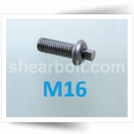 M16 IP Shear Bolts Button BZP