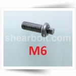 M6 IP Shear Bolts Button A2