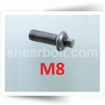 M8 IP Shear Bolts Button A2