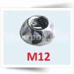 M12 One Way Security Nuts A2