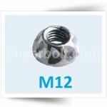 M12 One Way Security Nuts BZP