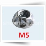 M5 One Way Security Nuts A2