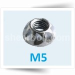M5 One Way Security Nuts BZP