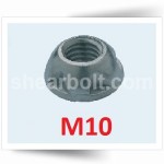 M10 Two Way Security Nuts A2