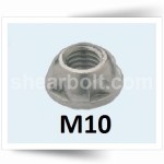 M10 Two Way Security Nuts Geomet