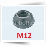 M12 Two Way Security Nuts A2