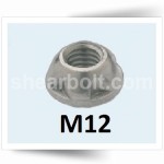 M12 Two Way Security Nuts Geomet