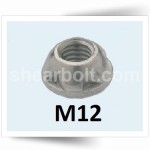 M12 One Way Security Nuts Geomet