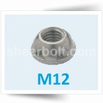 M12 Two Way Security Nuts BZP