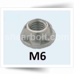 M6 Two Way Security Nuts Geomet